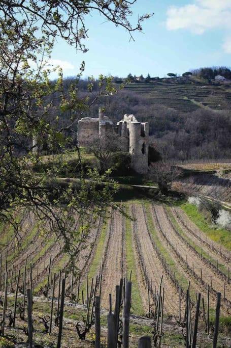 Apartamento Pres Des Vignes Crozes-Hermitage Exterior foto
